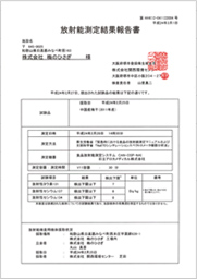 放射能測定結果報告書　中国産梅干し