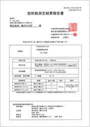 放射能測定結果報告書　中国産種抜き梅